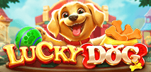 Lucky Dog