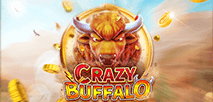 CRAZY BUFFALO