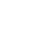 SBO