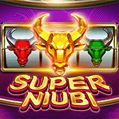 SuperNiubi-img