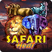 Safari Heat-img