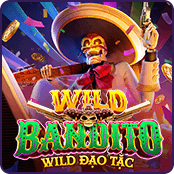 Wild Đạo Tặc-img