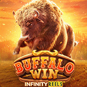 Buffalo Win_thumbNail