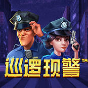 巡逻现警-img