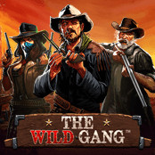 The Wild Gang_thumbNail