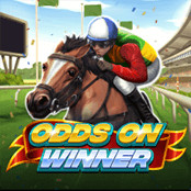 Odds On Winner_thumbNail