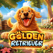 Golden Retriever-img