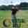 Golf Virtual_thumbNail