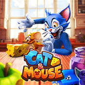 Cat and Mouse-img