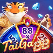 Taiga 88-img