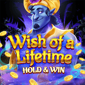 Wish of a Lifetime Hold and Win-img